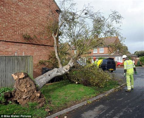 Tornado brings down trees, damages buildings in 